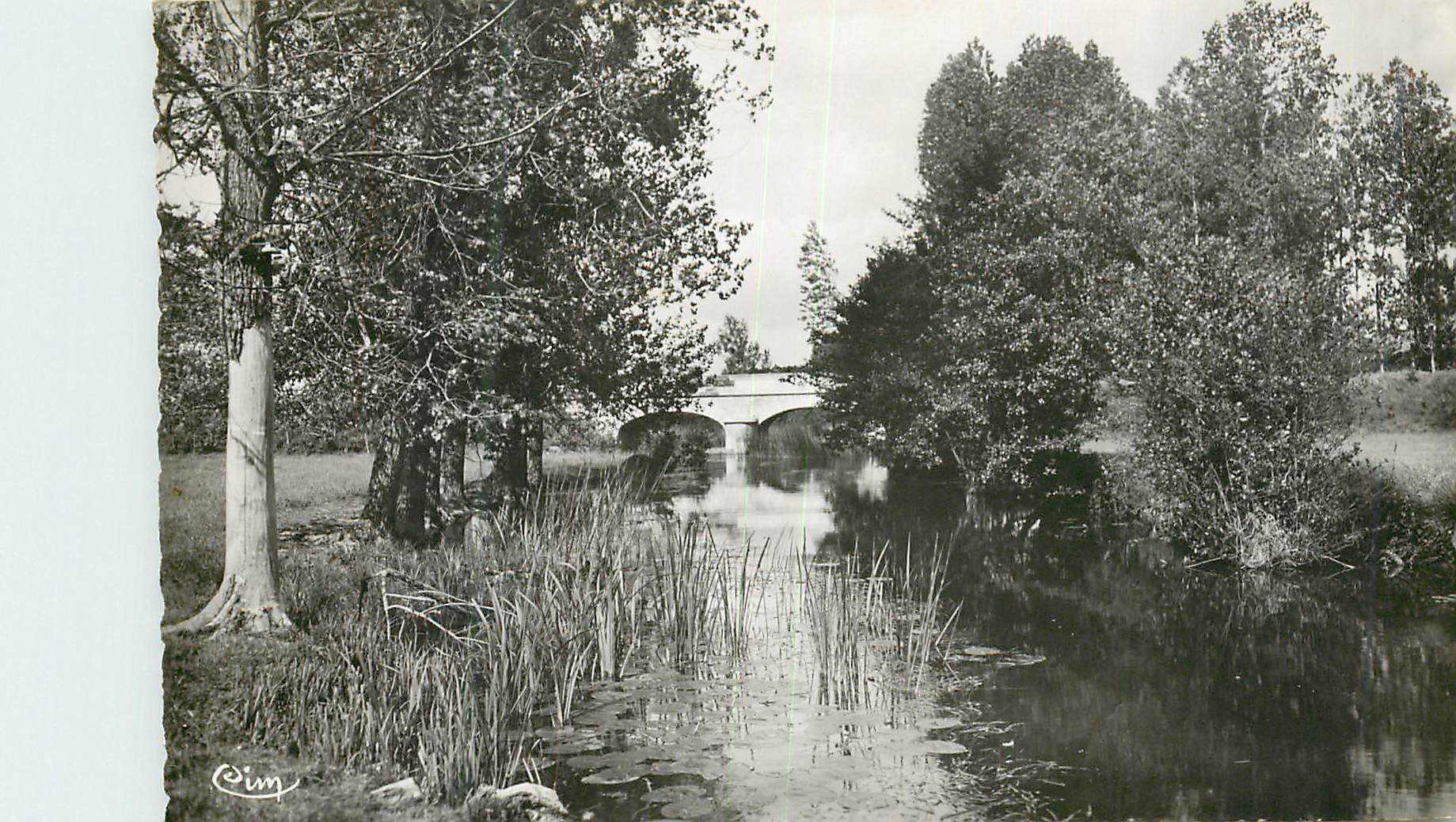 CPM Bethines Vienne Pont Neuf sur le Saleron