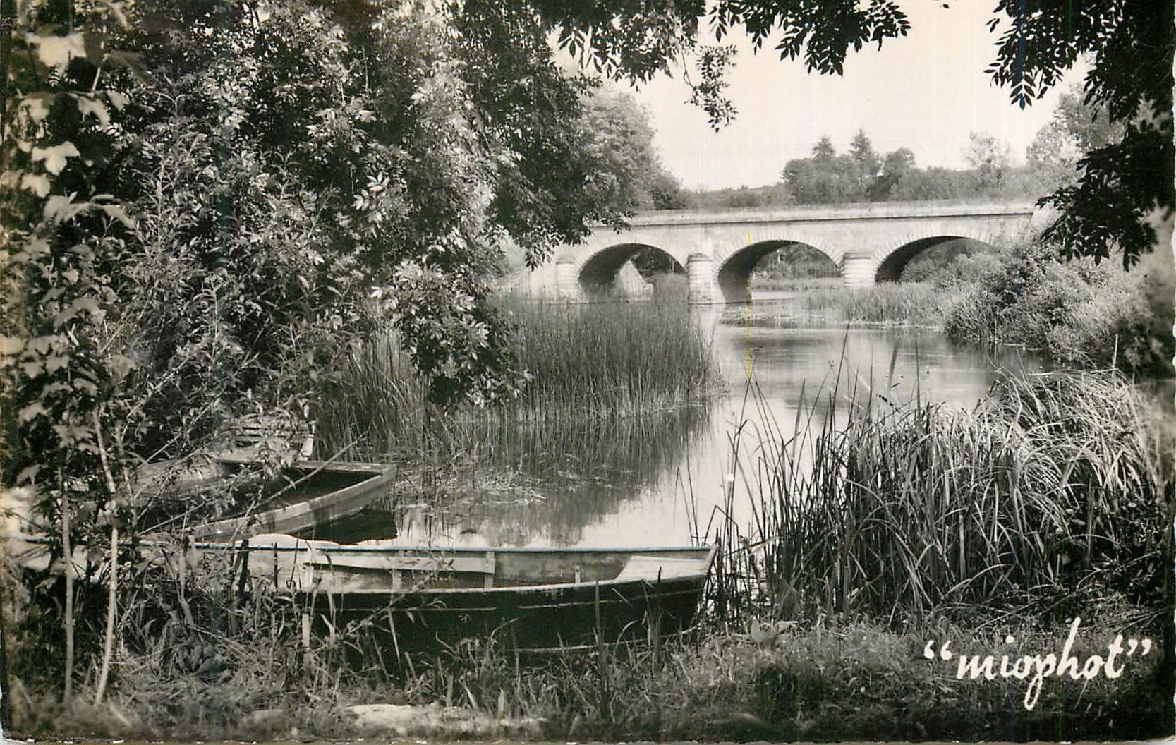 CPM Vivonne Pittoresque Un coin de peche