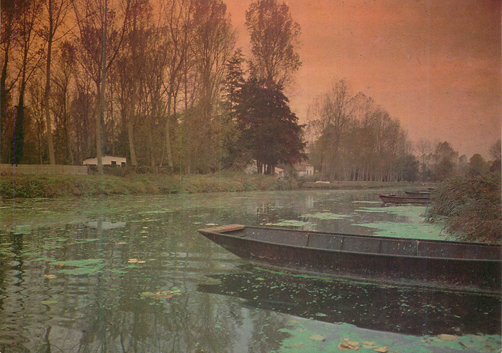 CPA Barque