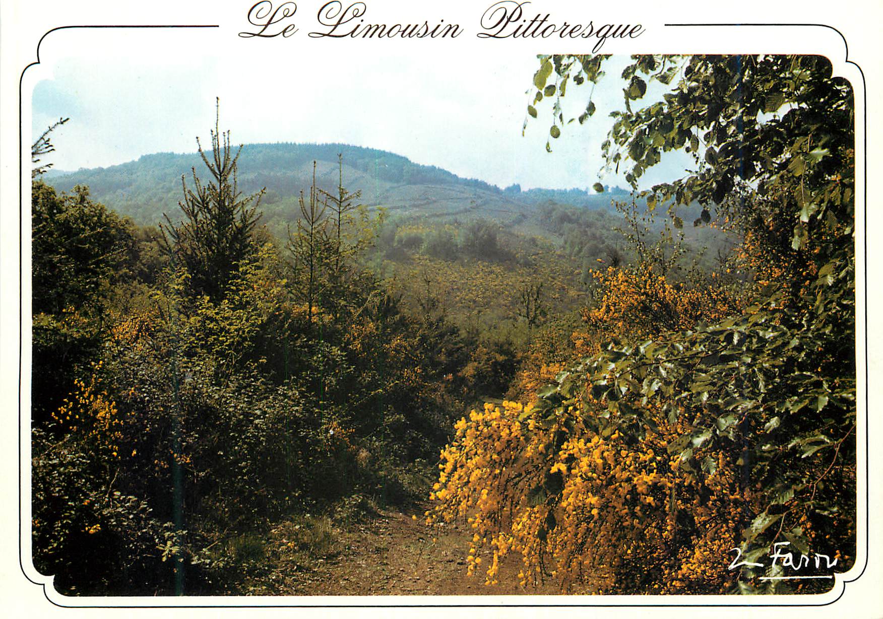 CPM Le Limousin Pittoresque Nous sommes en Avril Mai les genefs sont en fluers en Limousin c est le printemps