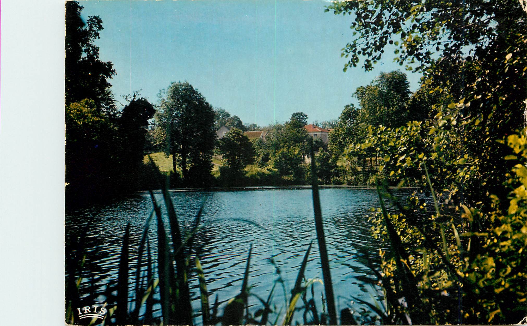CPM Environs de St Yrieix La Perche Hte Vienne L Etang Profond