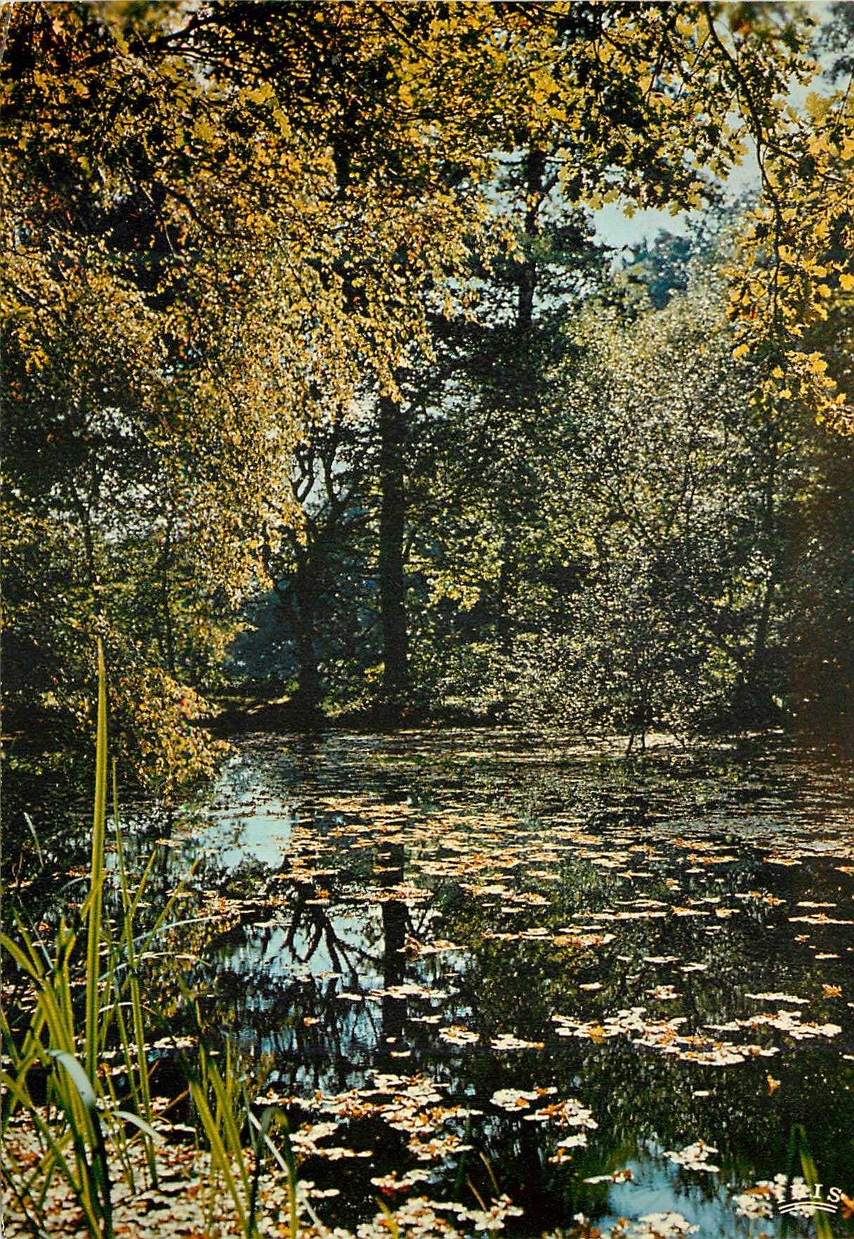 CPM En Limousin Dans l etang splendide ou pullule Tout un monde mysterieux