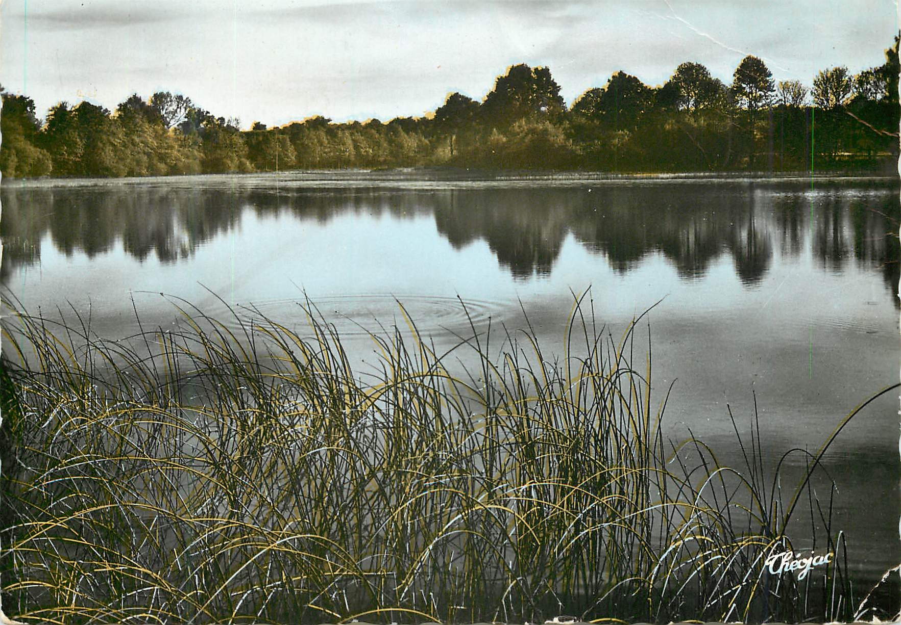 CPM Nexon Hte Vienne L Etang de la Lande