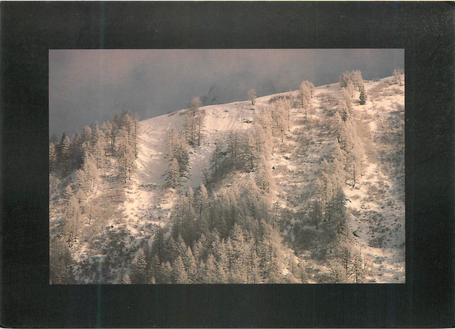 CPM En Hiver St Gervais Mont Blanc St Gervais les Bains