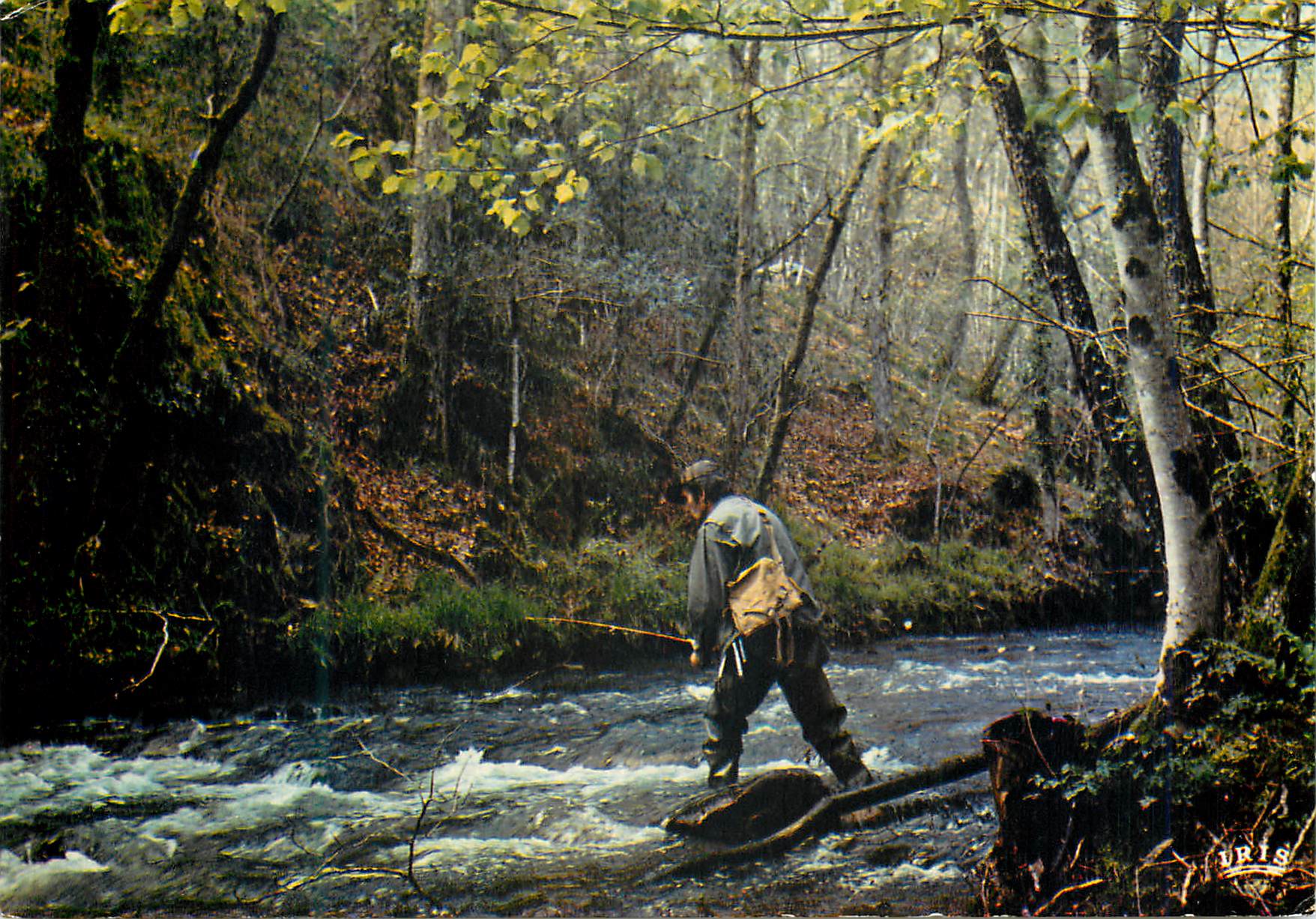 Pêcheur en rivière — forêt d'arbres à écorces blanches — éditeur (N-T) Editions de Larrieu, n° de série non visible