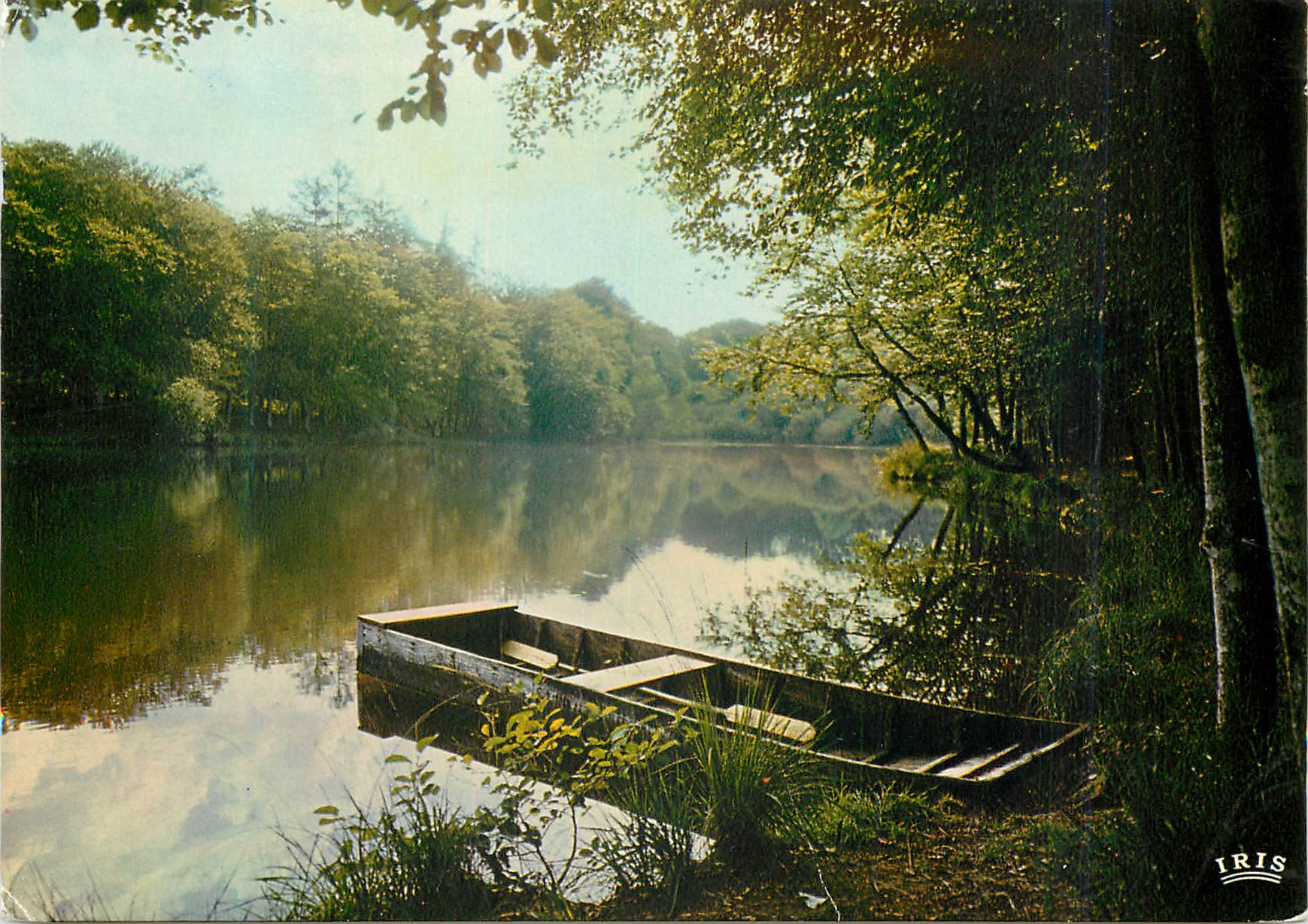 CPM En Limousin Un etang Grandpe nappe claire ou se mire le ciel ou glissent les nuages