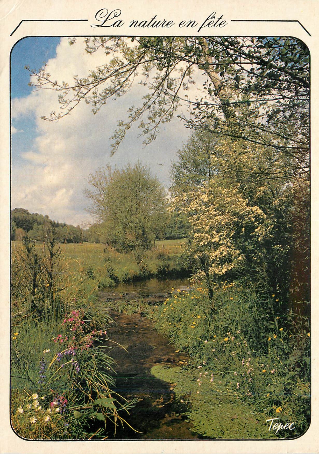 Petit ruisseau aux eaux cristallines — La nature en fête — Tépec