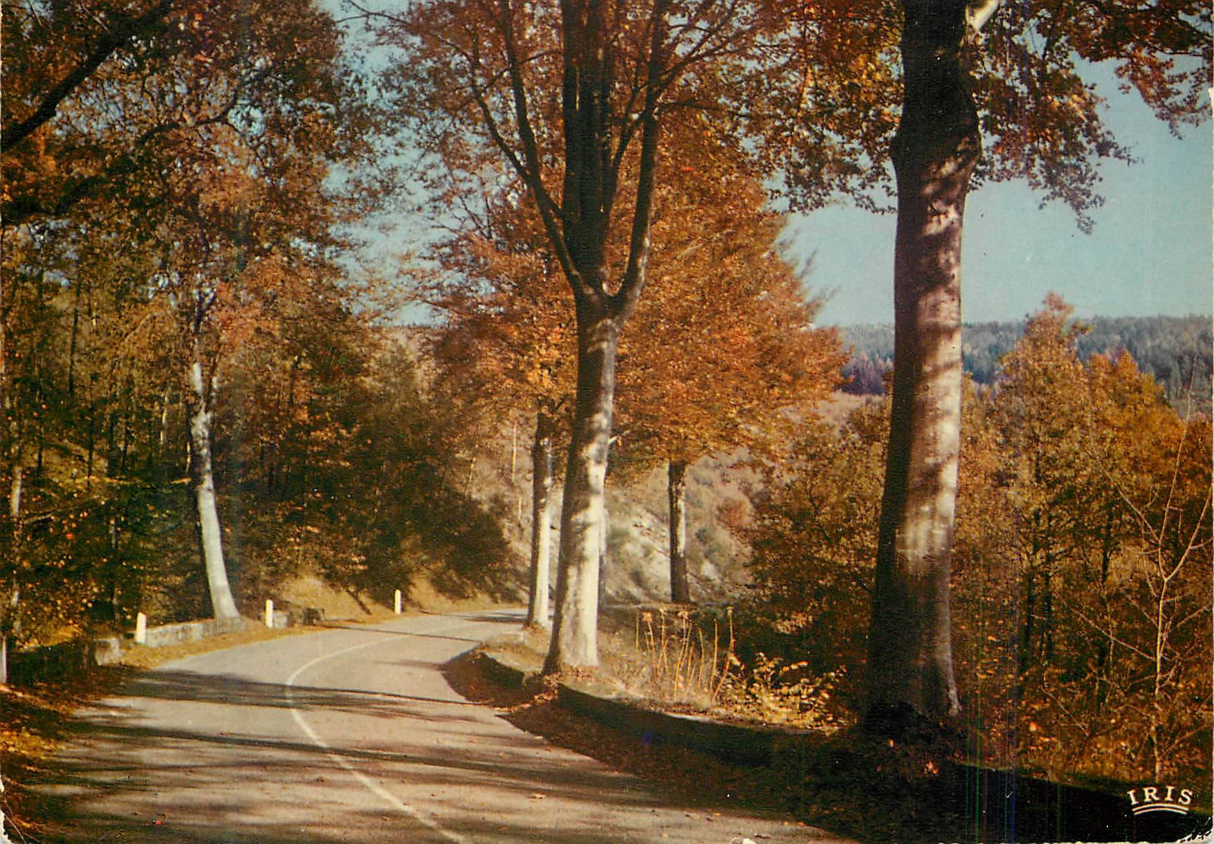 CPM Automne en Limousin Les longs jours sont passes
