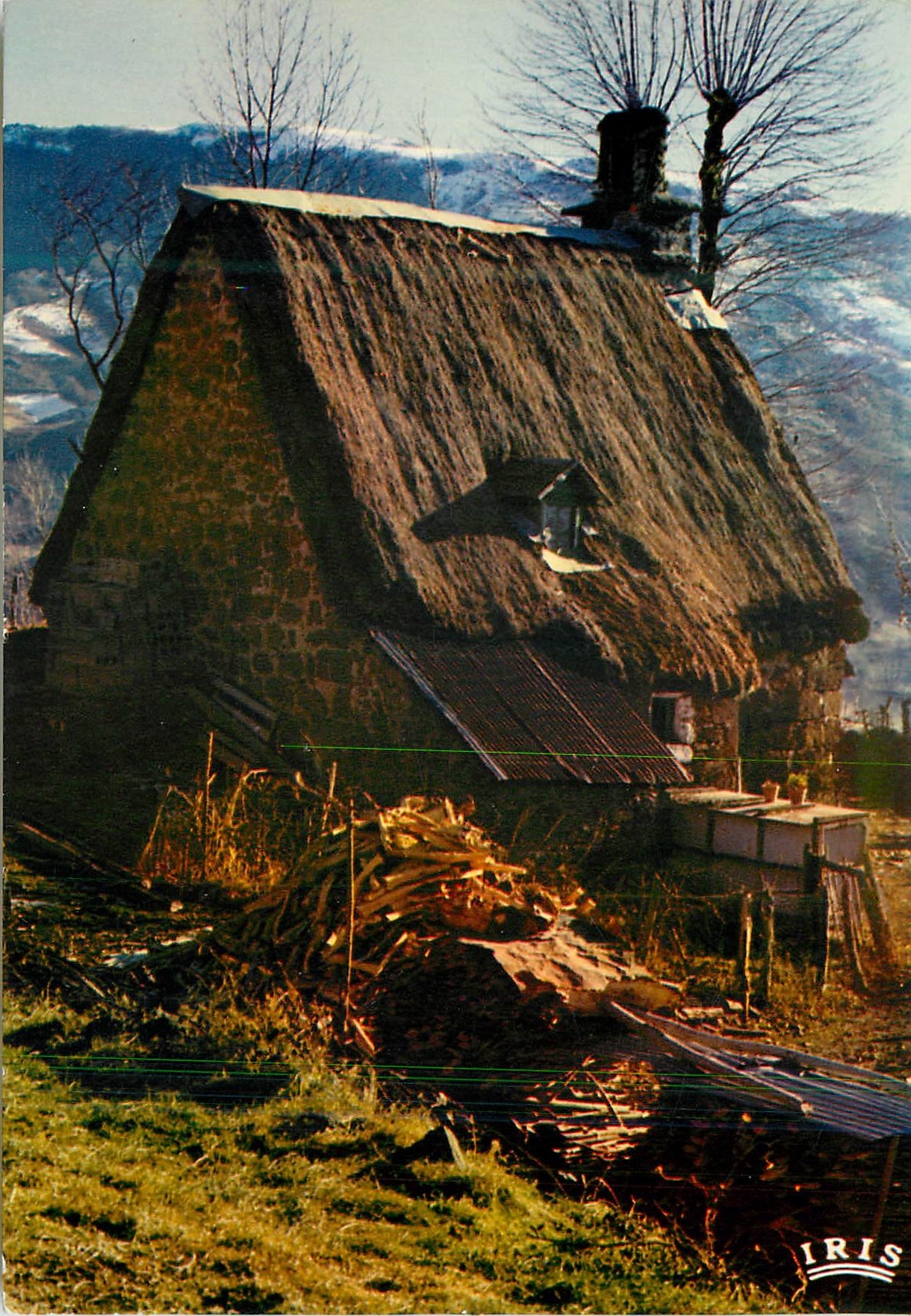 CPM En Auvergne Vieux Buron