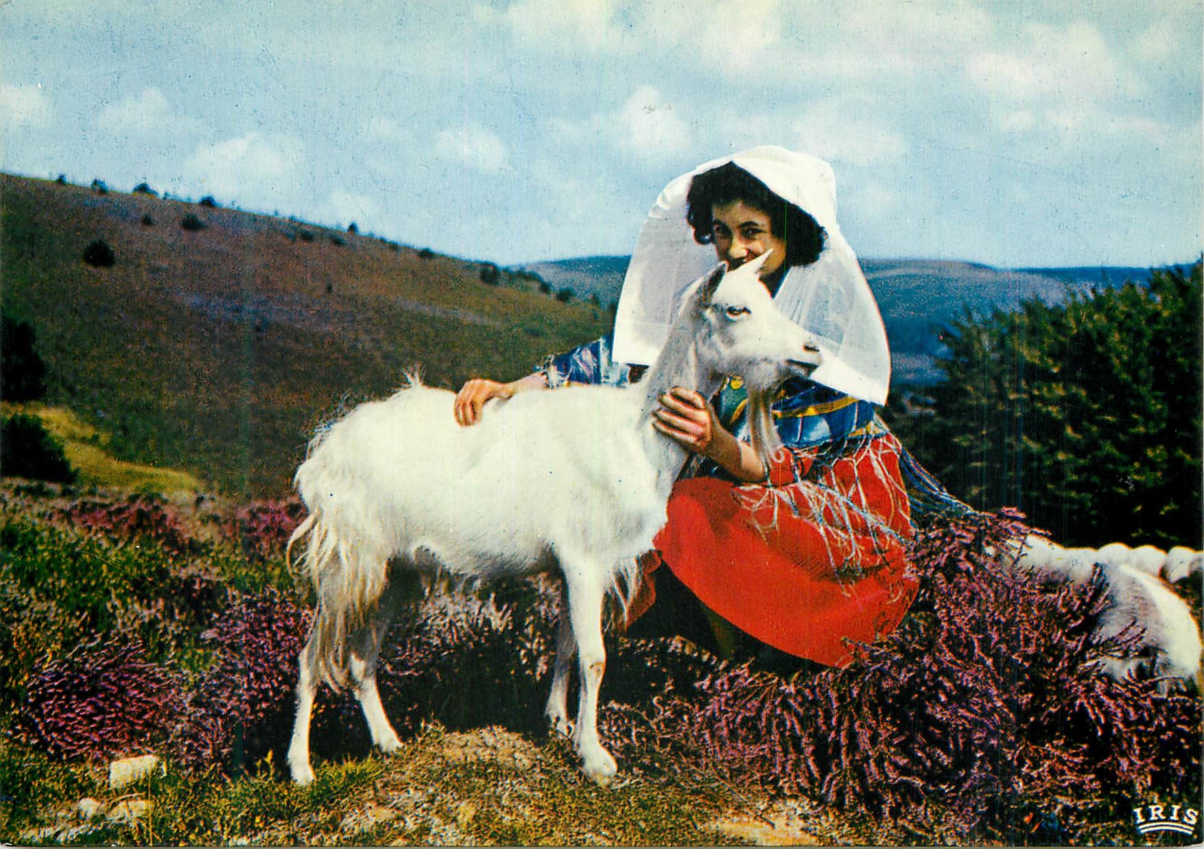 CPM Le Limousin Touristique Les Monedieres Chevre
