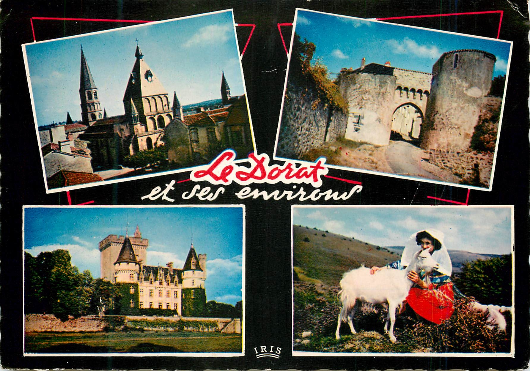 CPM Le DoLe et ses environs Le Dorat Haute Vienne La Collegiate la Porte Bergere Chateau d Azat le Riz Monedieres Chevre