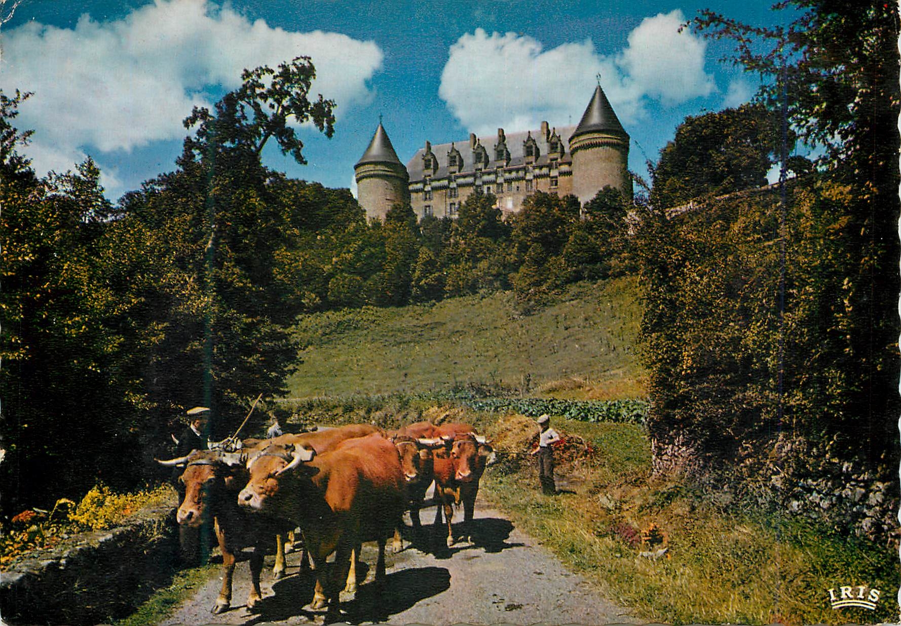 CPM Limousin Pittoresque Le Chateau de Rochechouart xi et xv siecles Bœufs
