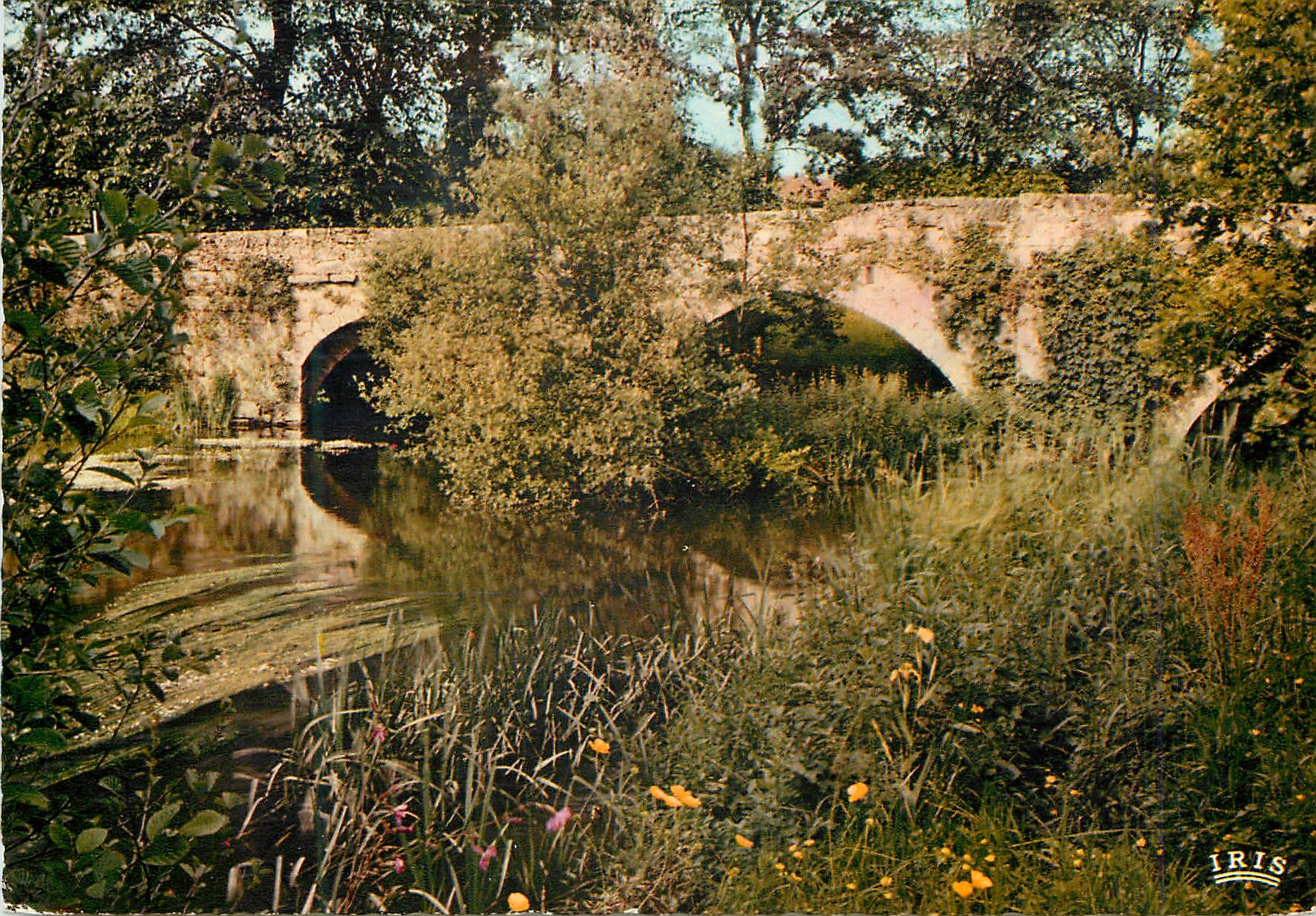 CPM Saint Junien Hte Vienne Le Pont Sainte Elisabeth