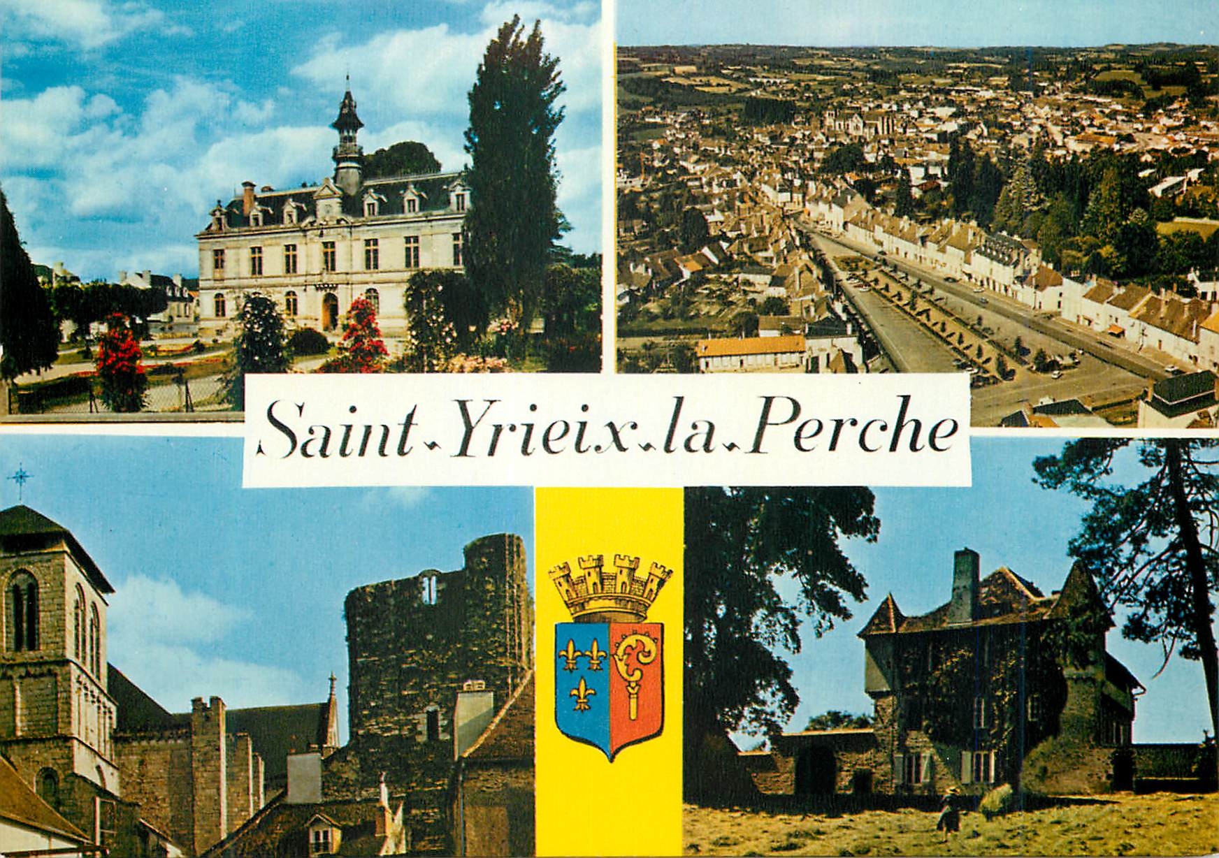 CPM Saint Yrieix La Perche Haute Vienne L hotel de ville Vue generale La collegiate du Moutier et la tour du Plo Le chat