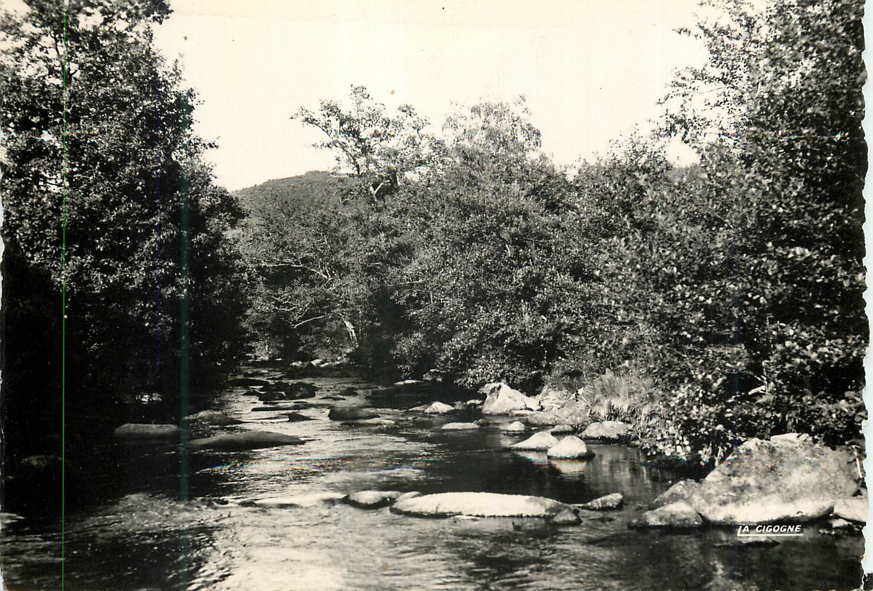 CPM Rempnat Haute Vienne La Vienne pres du Vieux Moulin