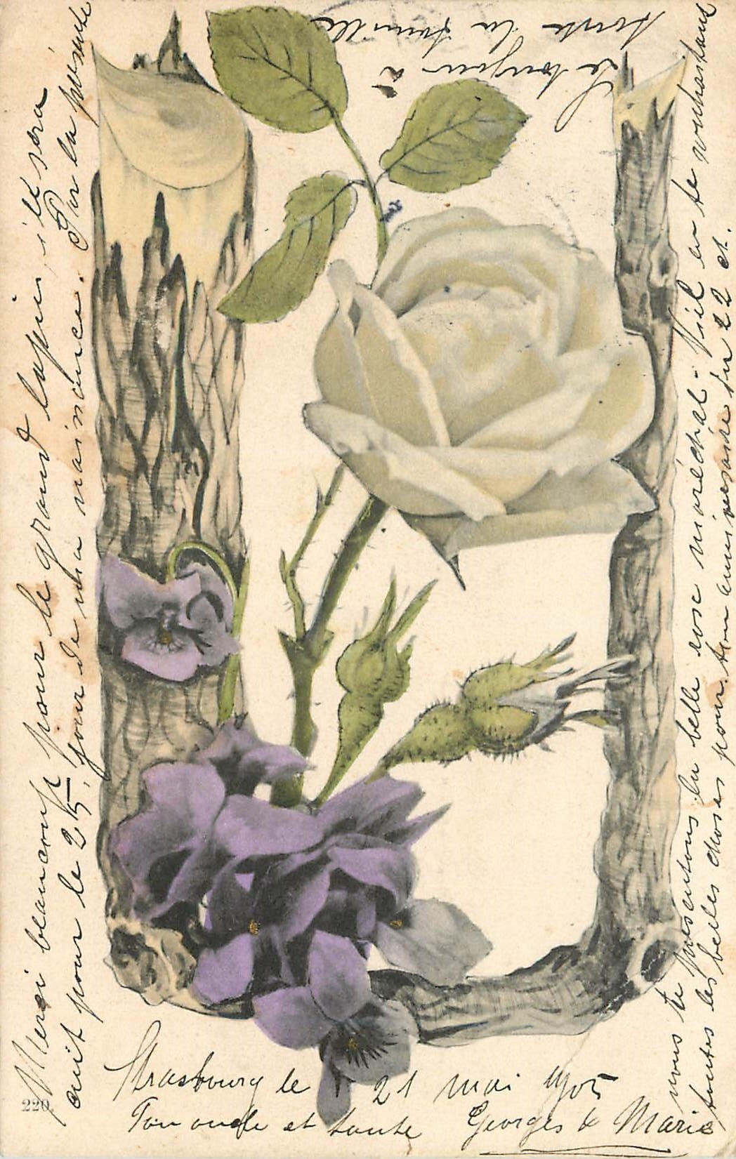CPA Fleurs