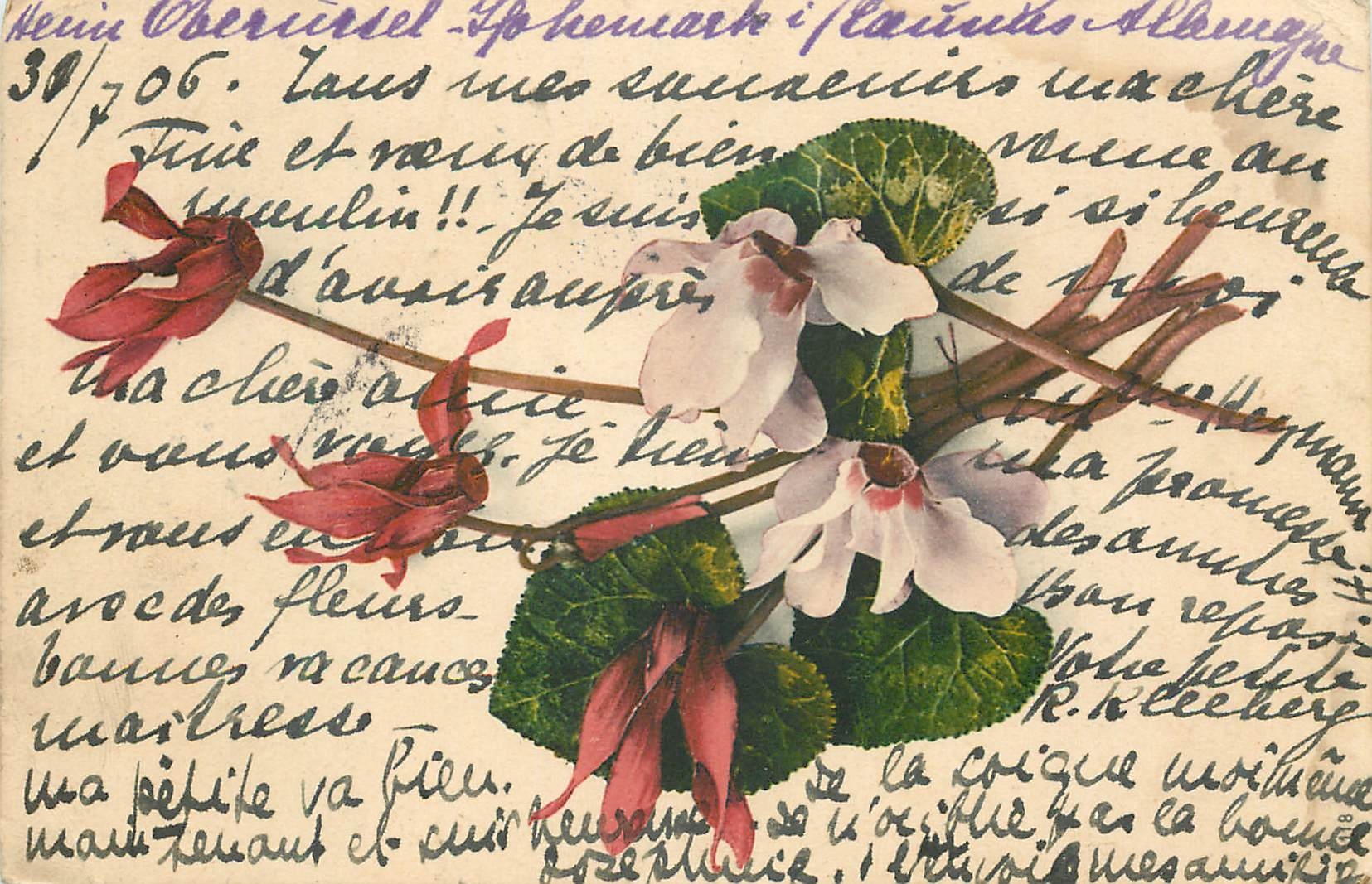 CPA Fleurs