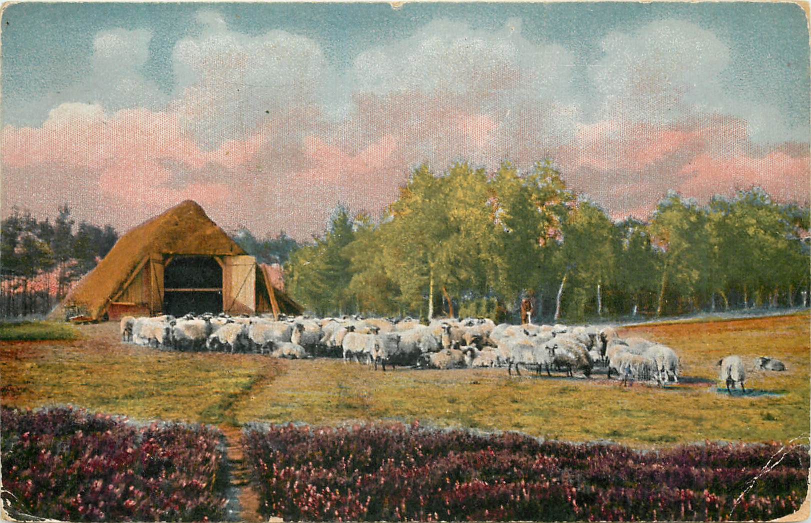 CPA Moutons