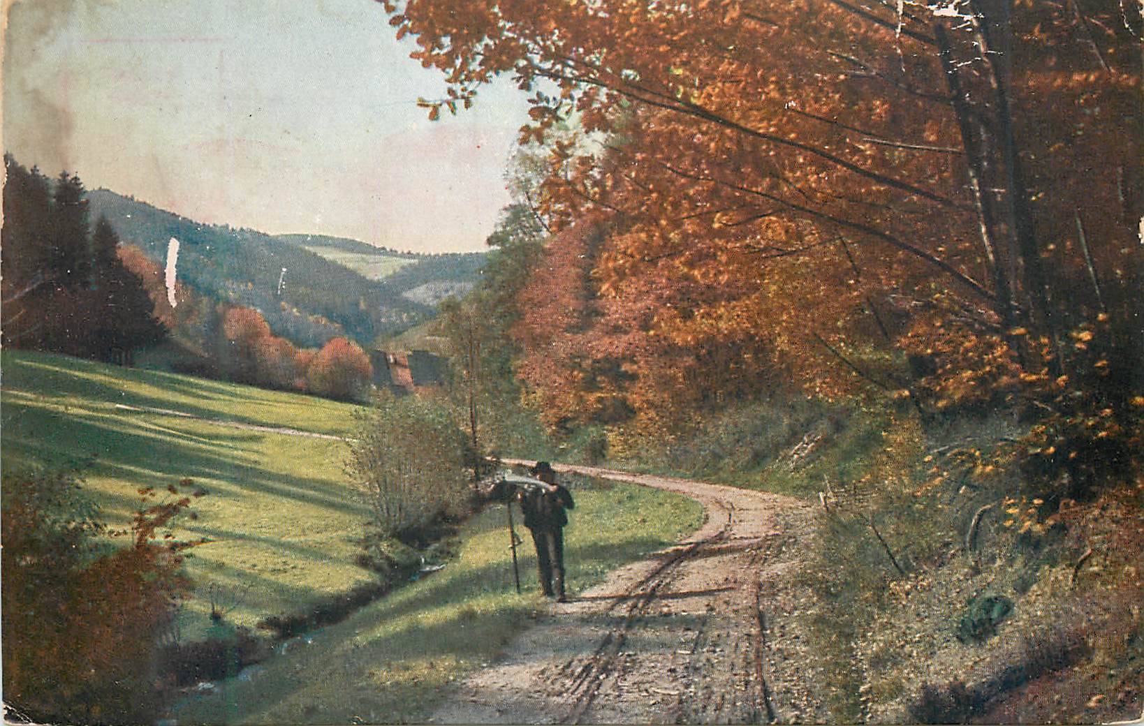 CPA Schwarzwaldtal bei Niederwasser Herbstsimmung am Schwarzwald Verlag von Friedrih Pfahrer Triberg