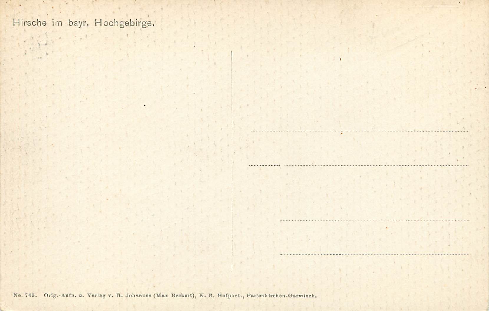 CPA Hirsche im bayr Hochgebirge — Rückseite