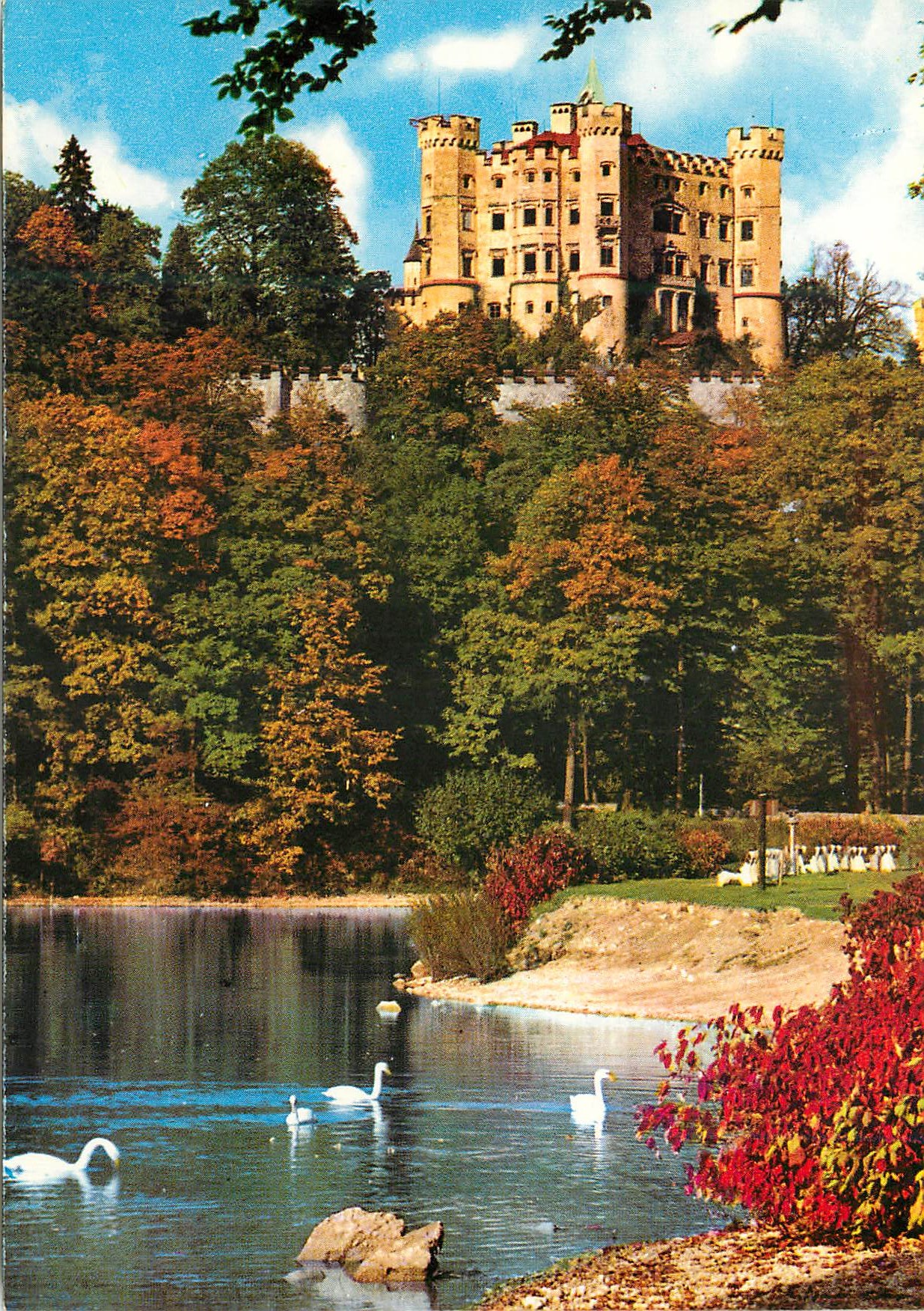 CPM Chateau royal de Hohenschwangau