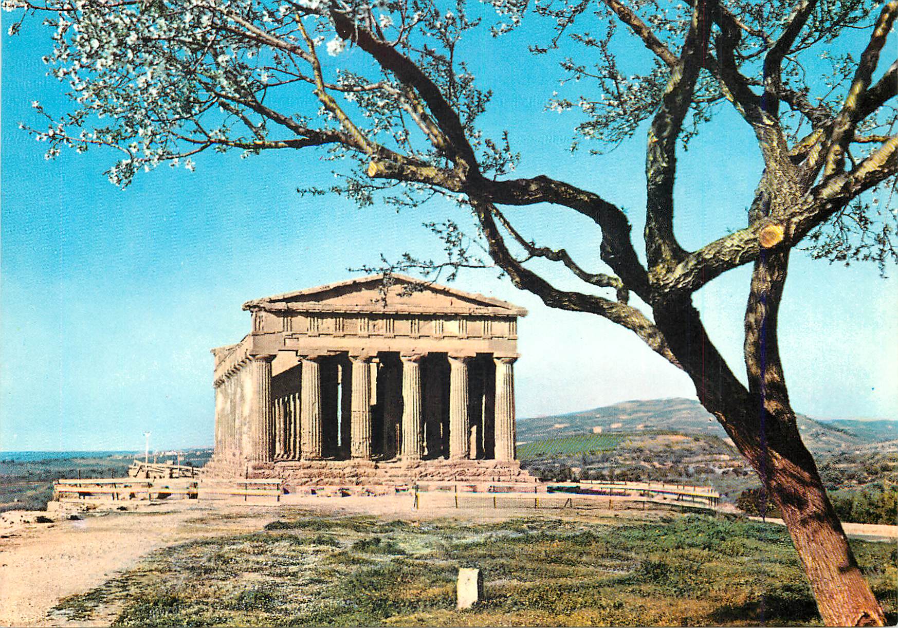 CPM Agrigento Temple de la Concorde et amandier en fleurs