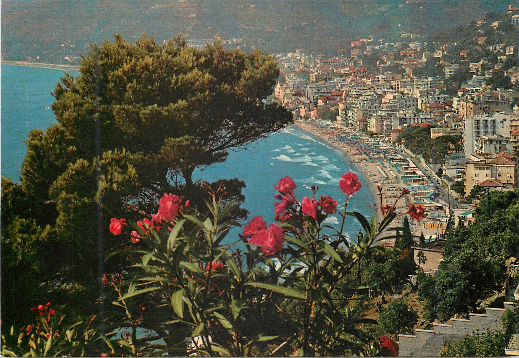 CPM Riviera dei Flori Alassio Panorama