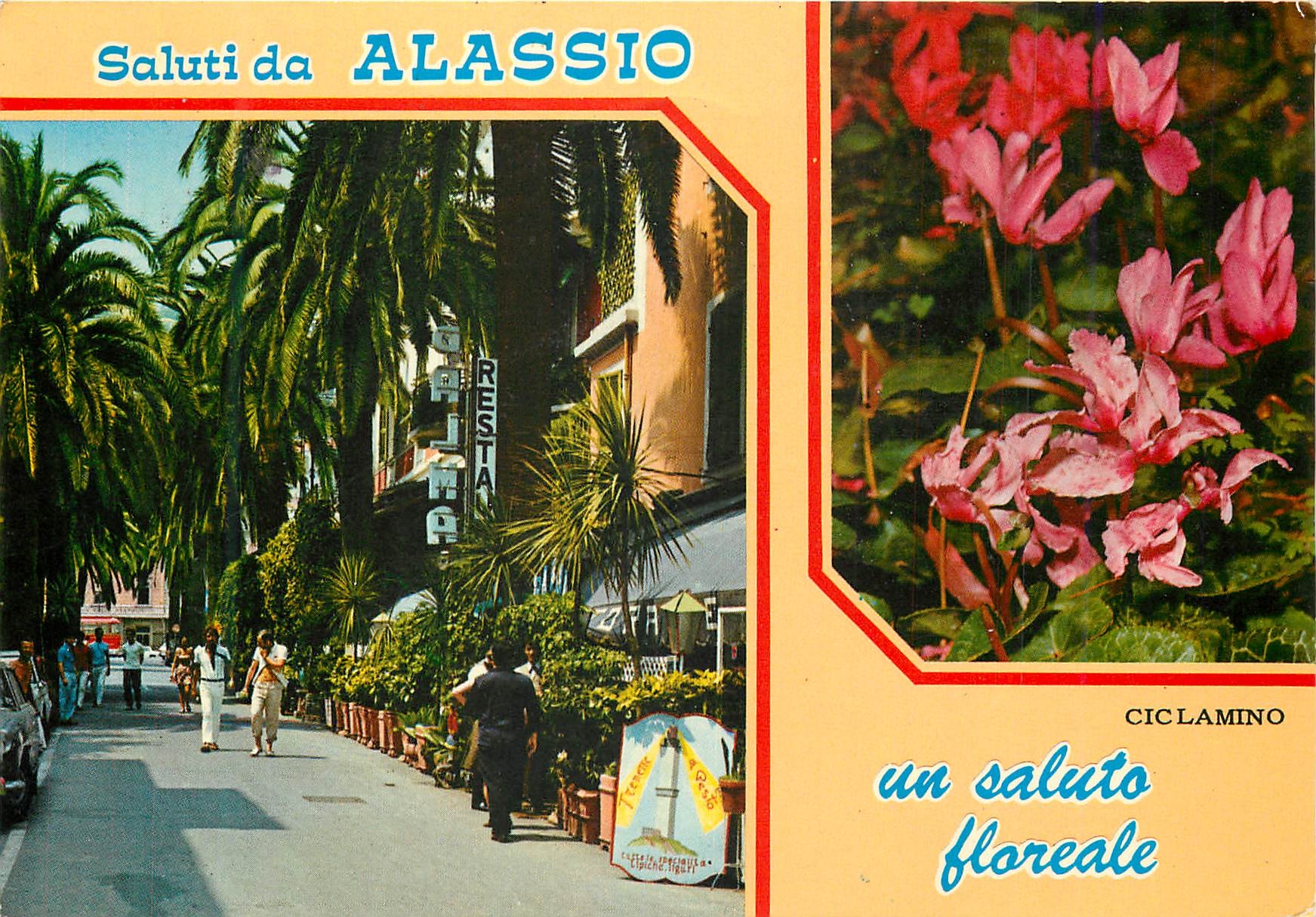 CPM Riviera dei Flori Alassio Rue Cavour