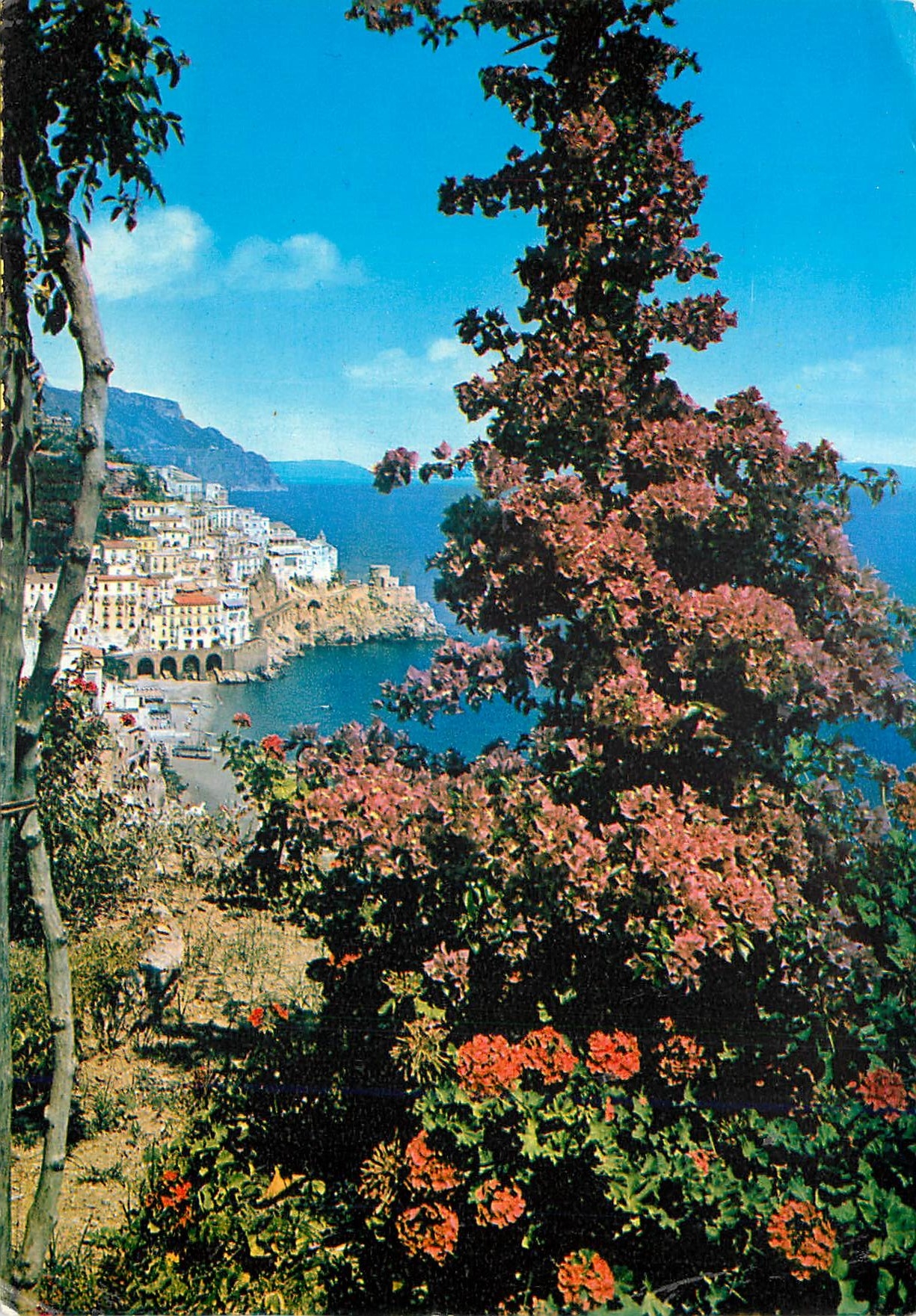 CPM Amalfi Vu de la jardin de l Hotel Cappuccini