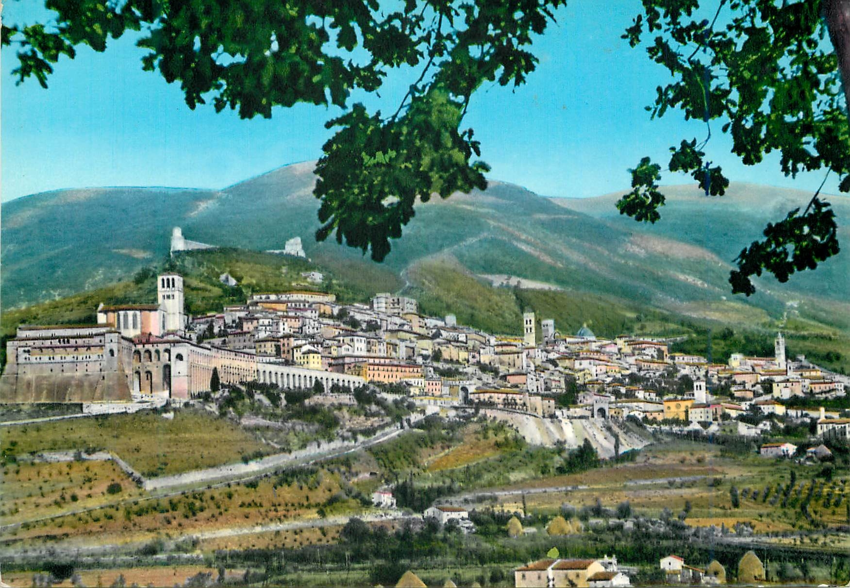 CPM Assisi Vue generale