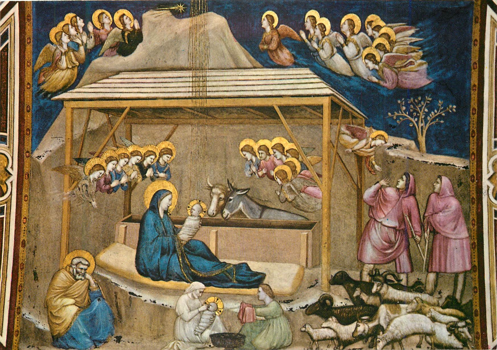 CPM Assisi Basilica inferiore di S Francesco Giotto La Nativita