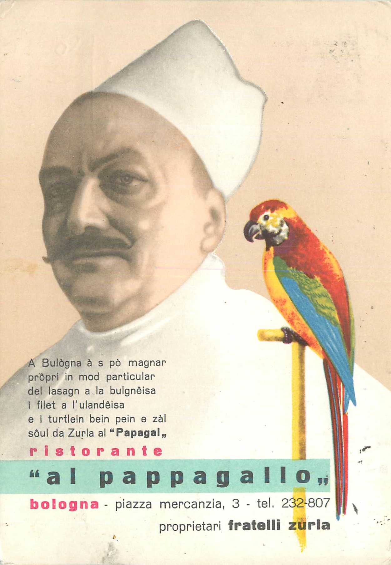 CPM al pappagallo Bologna piazza mercanzia Perroquet