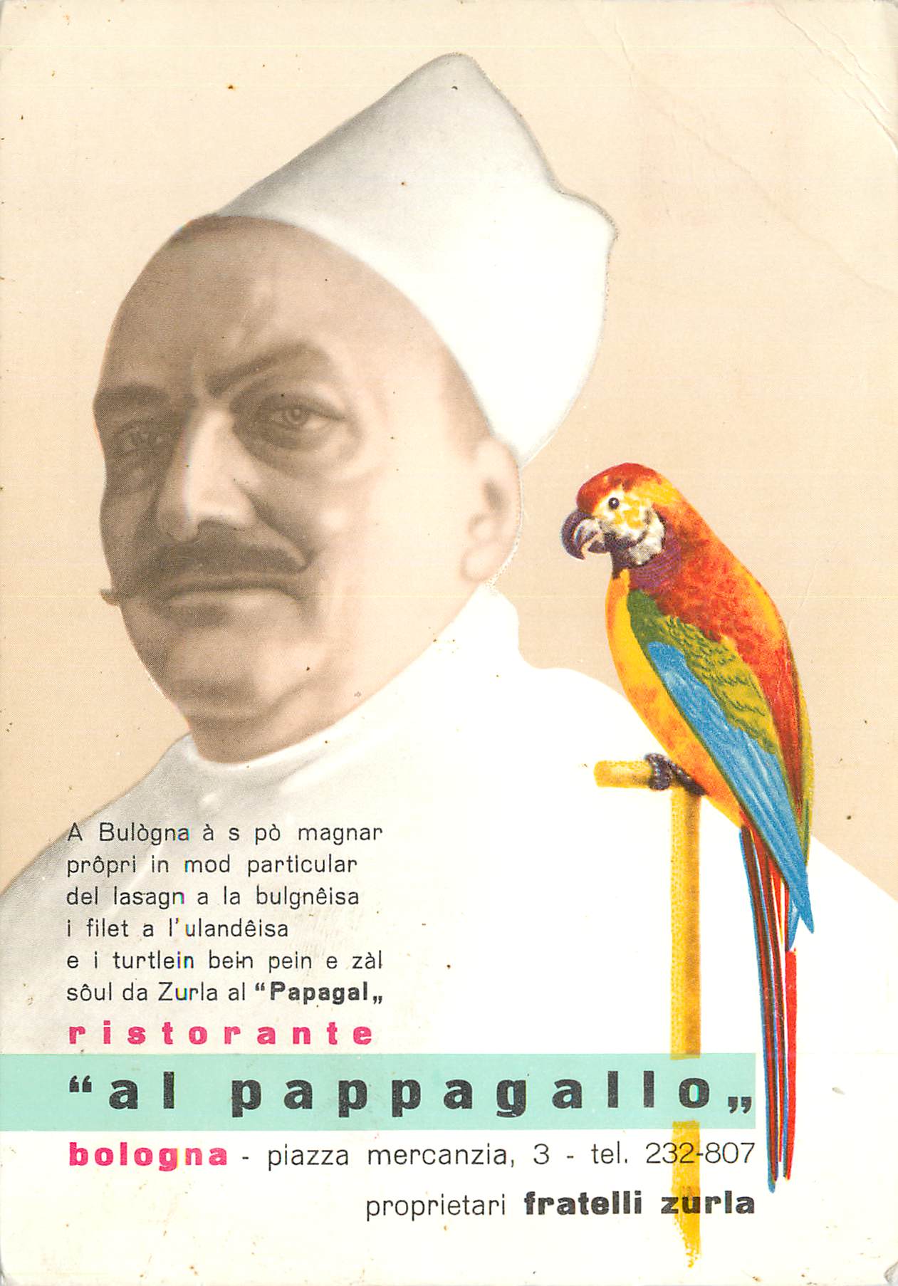 CPM al pappagallo Bologna piazza mercanzia Perroquet