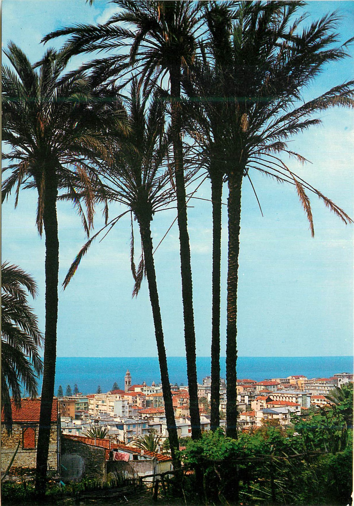 CPM Riviera dei Flori Bordighera Scorcio panoramico