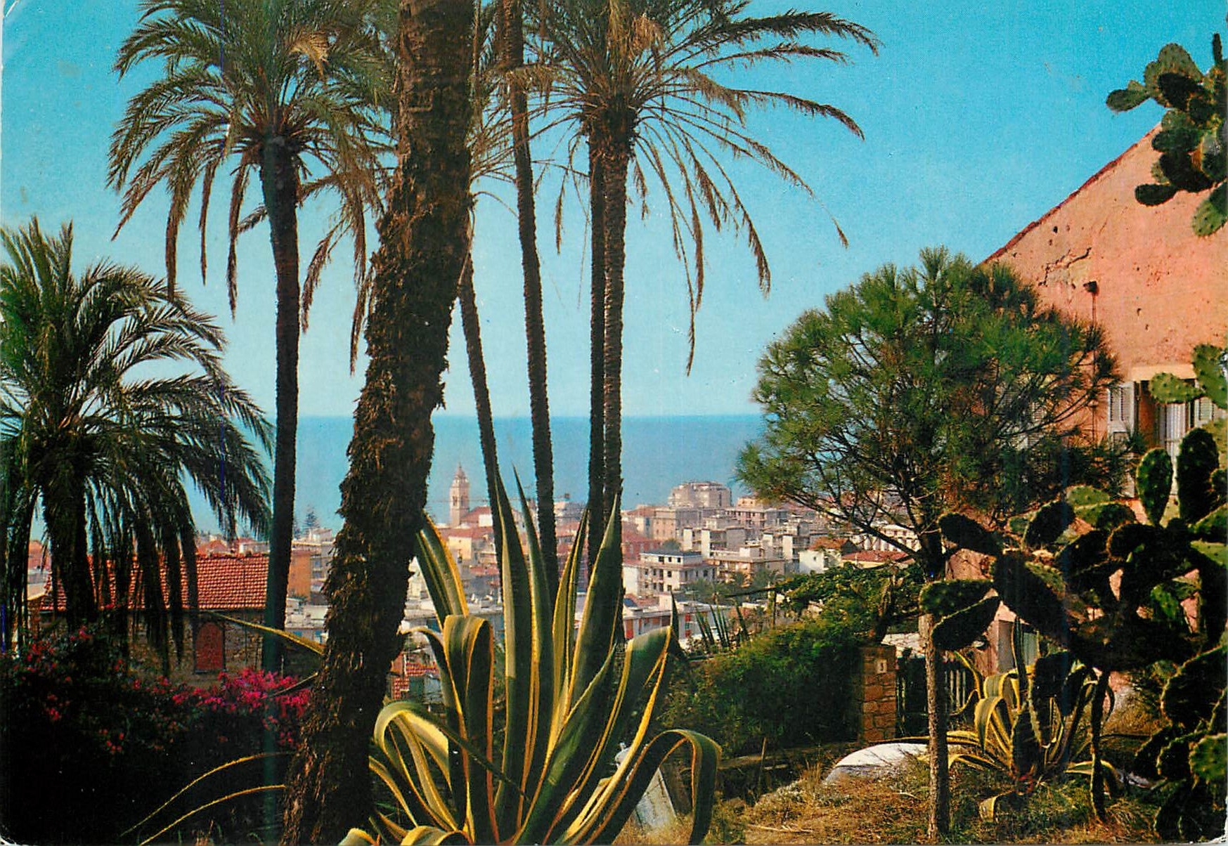 CPM Bordighera im Riviera dei Flori Raccouri varacteristique parmi palmiers et fleurs