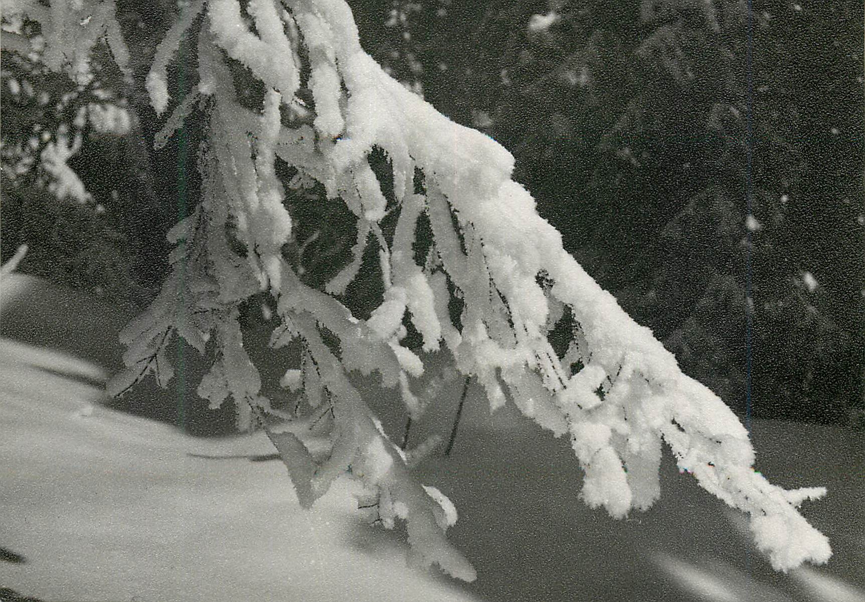 CPM Suisse Sapins