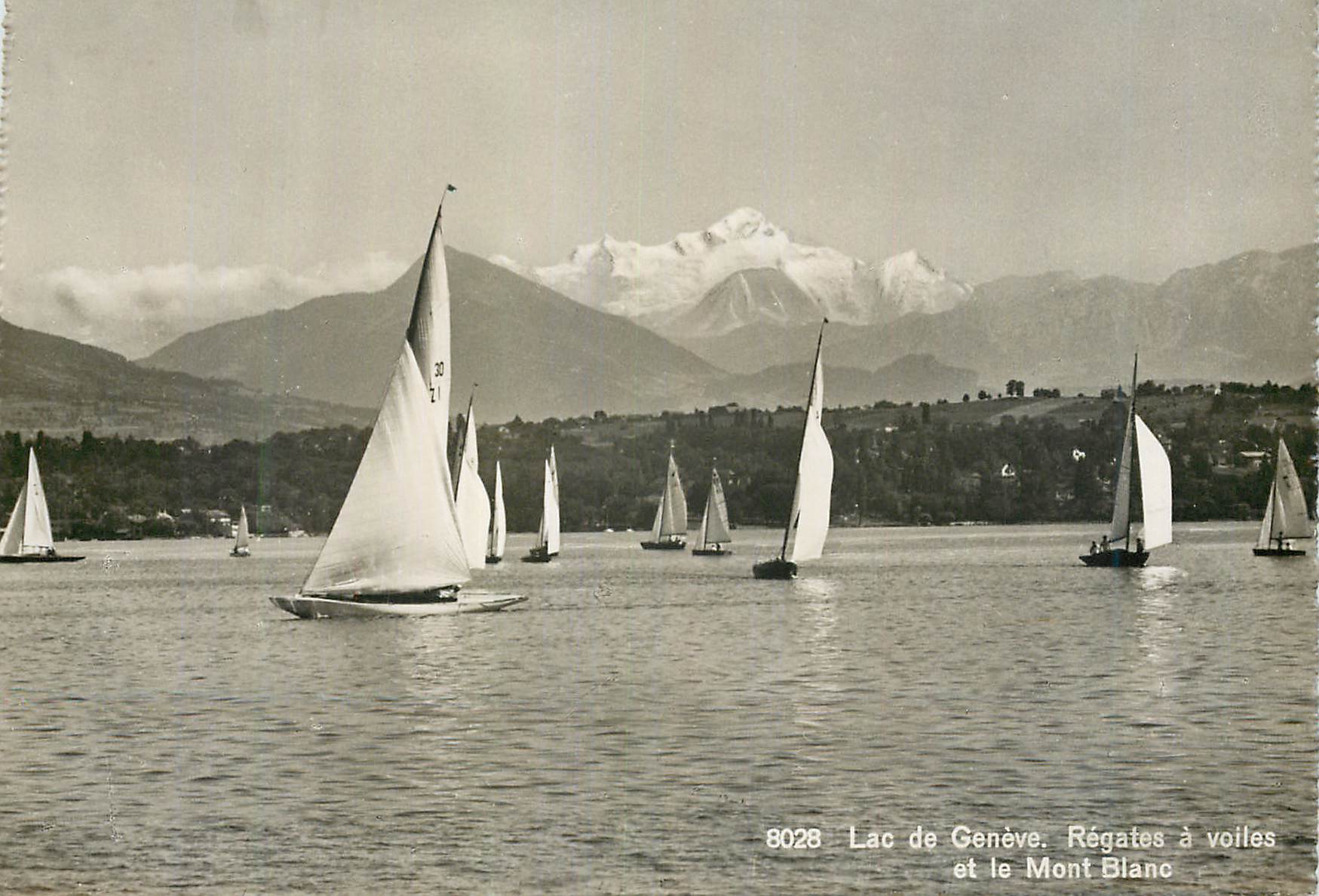 CPM Geneve Lac de Geneve Regates a voiles et le Mont-Blanc