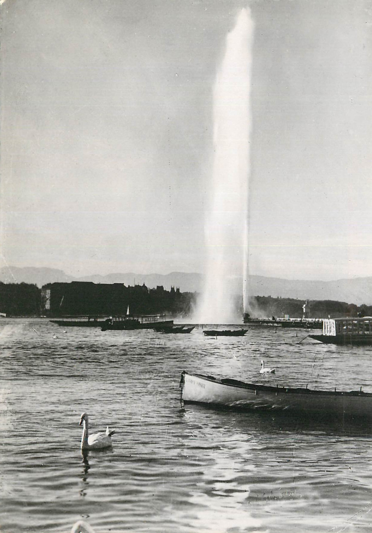 CPM Geneve Le Jet d'eau de 90 m  et la rade