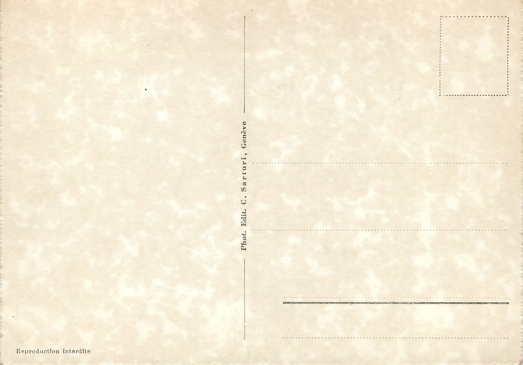 CPM Geneve Pont du Mont-Blanc et ile Rousseau — Rückseite