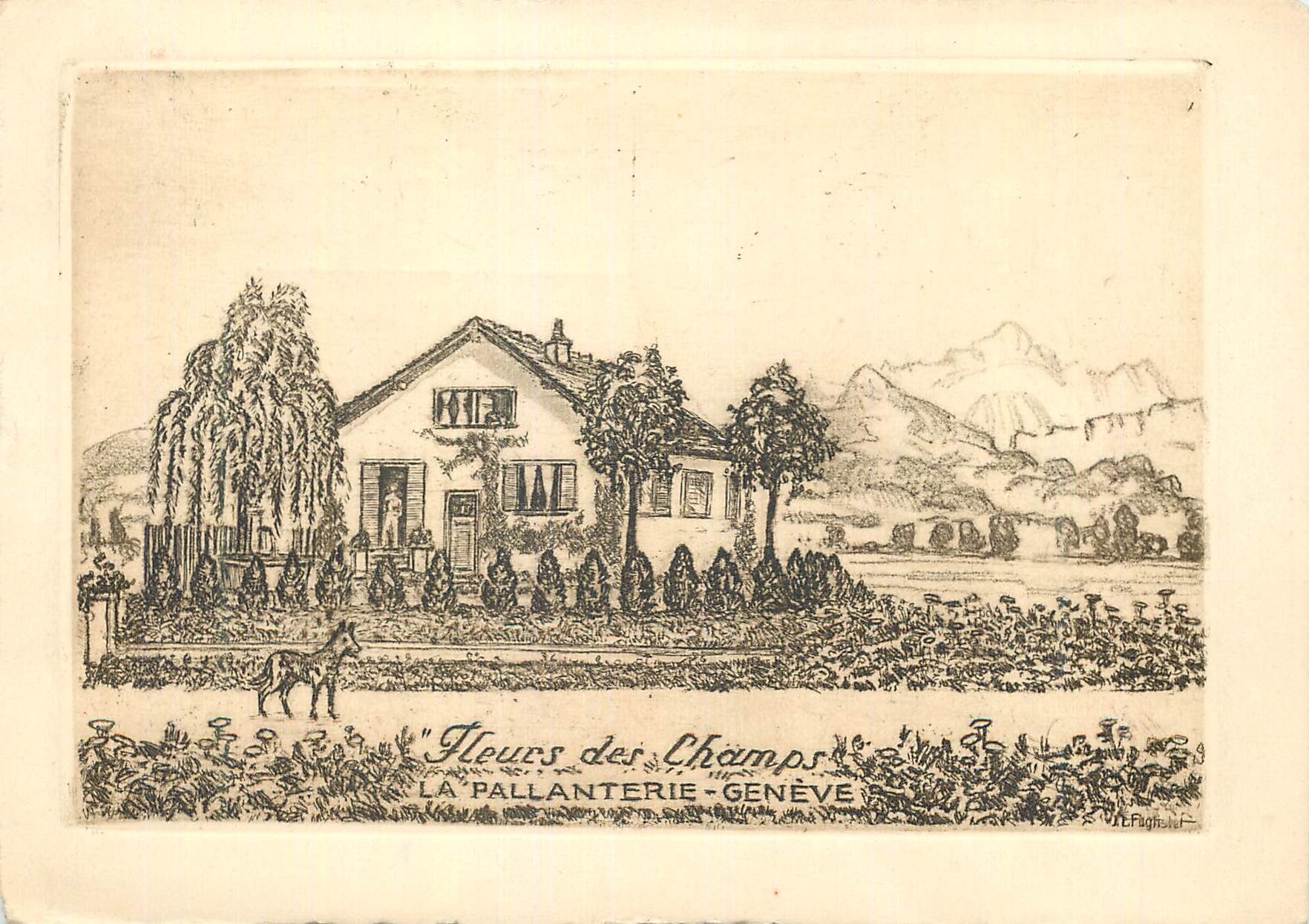 CPM Geneve La Pallanterie