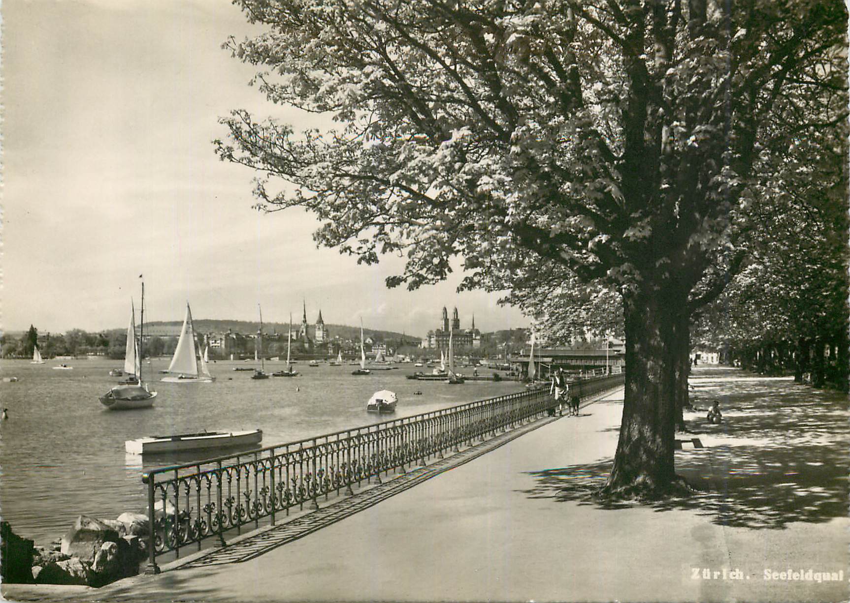 Zurich. Seefeldquai — vue du lac avec voiliers — Photoglob-Wehrli A.G., Zürich, n° X 5305