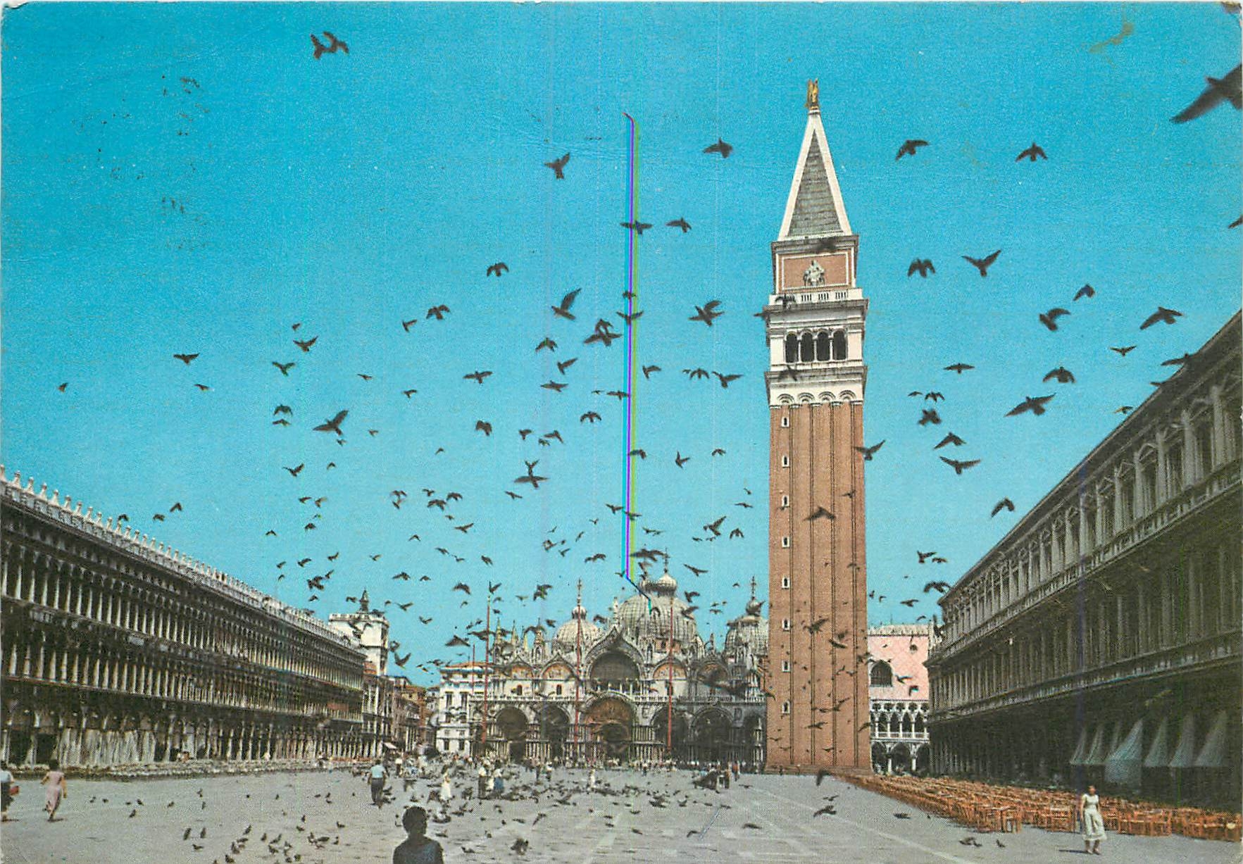 CPM Venezia Place Saint-Marc Vol de pigeons