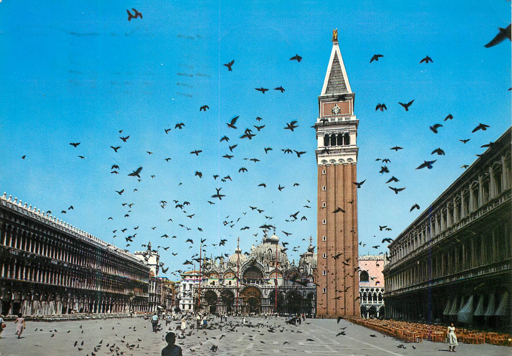 CPM Venezia Place Saint-Marc Vol de pigeons