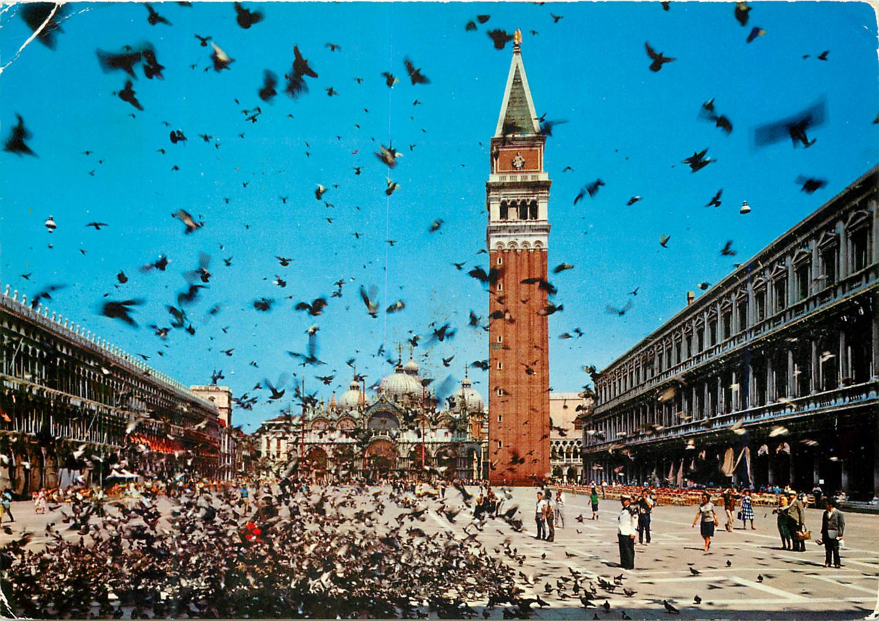 CPM Venezia Saint-Marc volee de pigeons