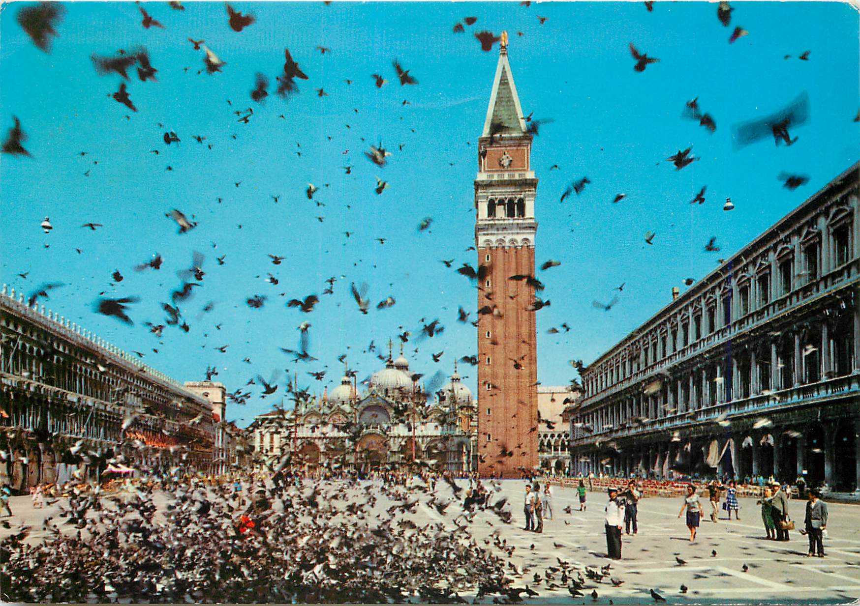 CPM Venezia Place Saint-Marc Volee de pigeons