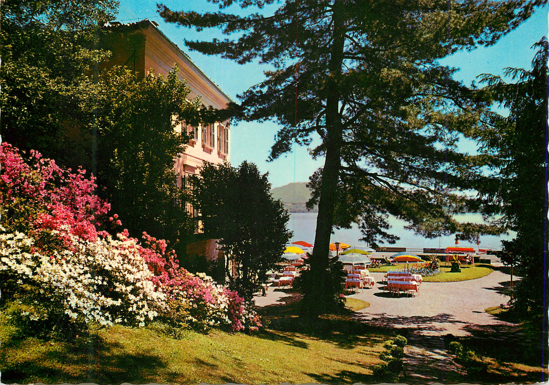 Hôtel Villa Carlotta — Beligirale (Lago Maggiore) — Fotostampa Reggiori, n° 578