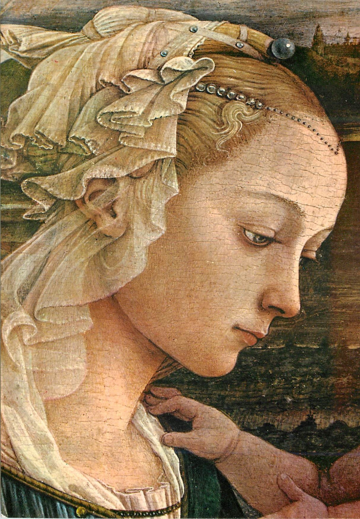 CPM Firenze La Sainte Vierge qui adore l'Enfant