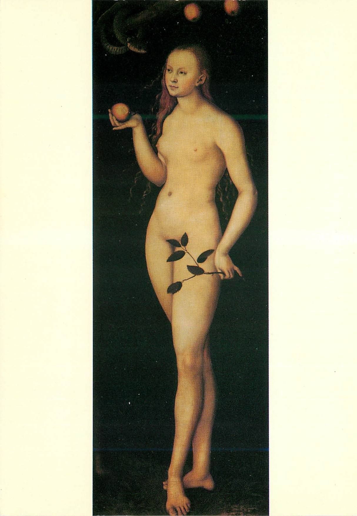 CPM sandro botticelli galleria uffizi luca cranach kronac (bavlera) 1472 weimar 1553 eve