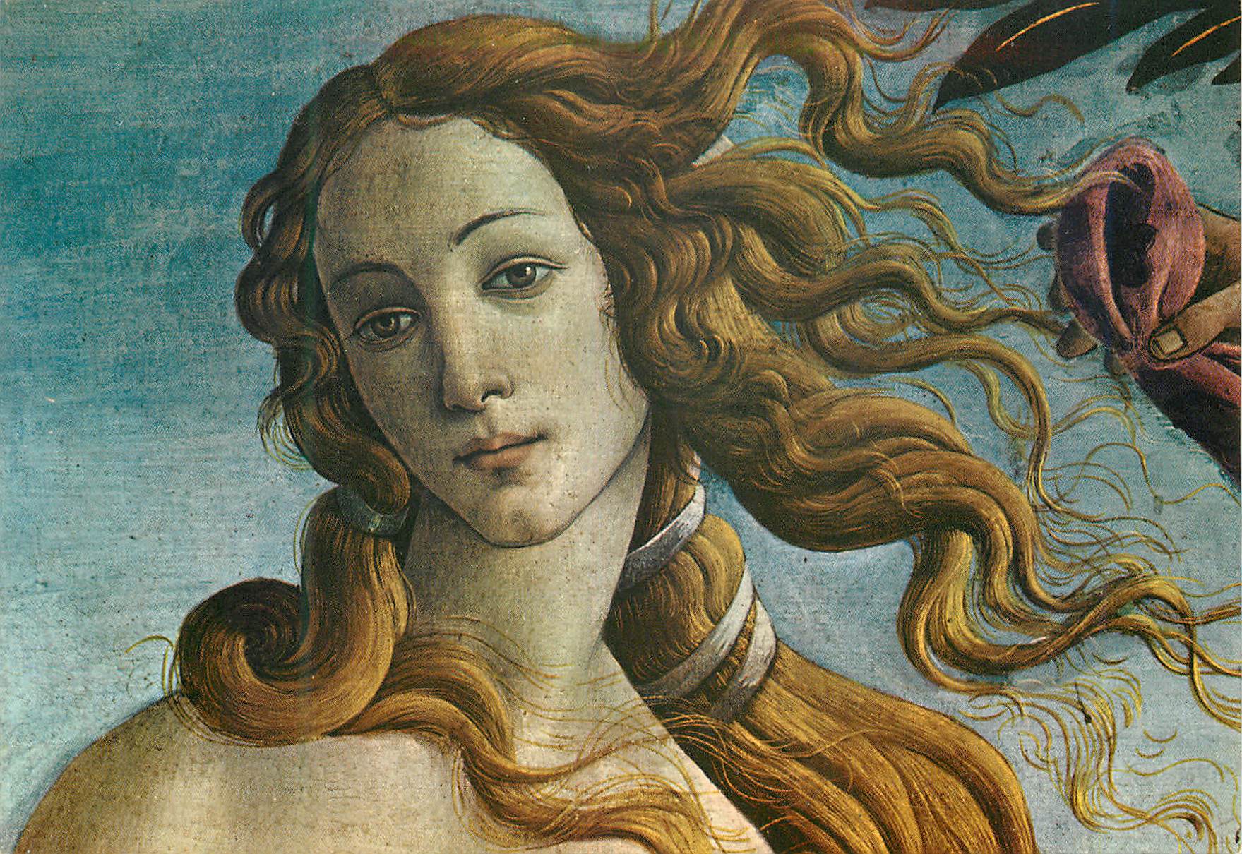 CPM Firenze galleria degli d'uffizi naissance de venus detail