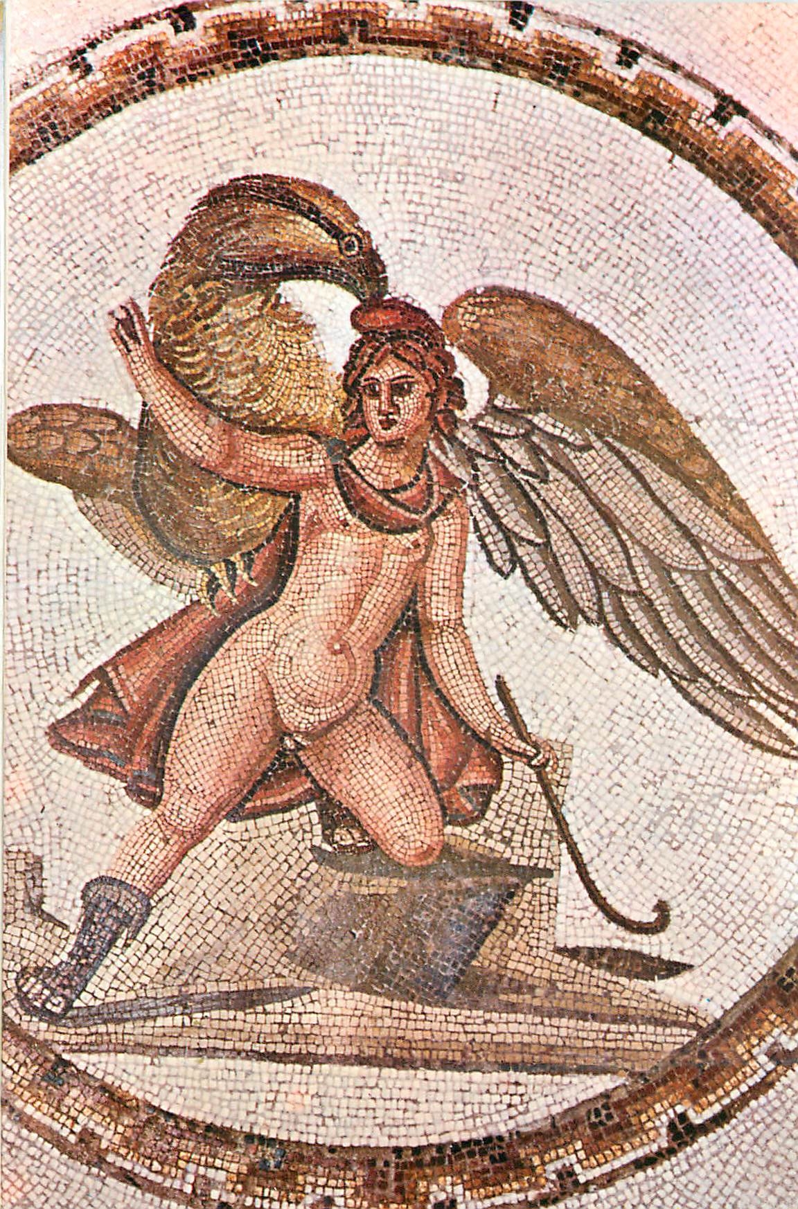 CPM Tunisie musee de sousse detail de mosaique